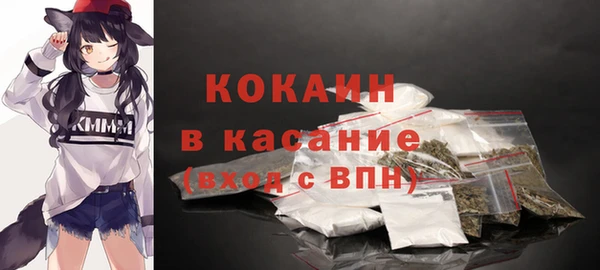 твердый Алексеевка