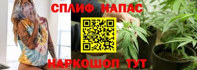 ешки Гатчина