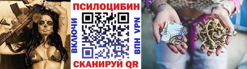 дарк нет клад  Кировск  Псилоцибиновые грибы ЛСД 