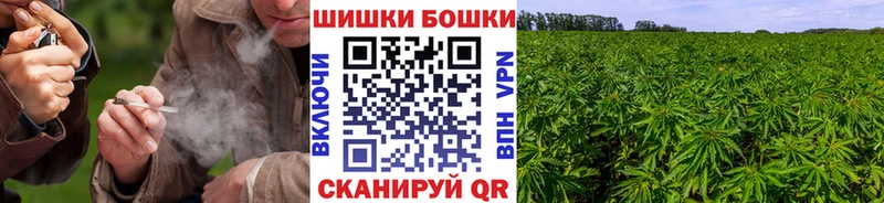 МАРИХУАНА White Widow  как найти   Кировск 